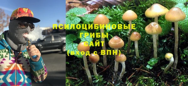 МДМА Лабытнанги