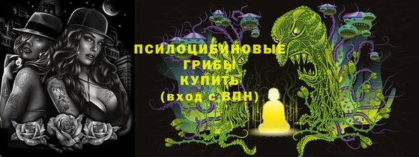 тгк Лагань