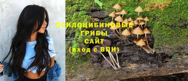 тгк Лагань