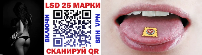 где найти   Дно  Марки N-bome 1,5мг 