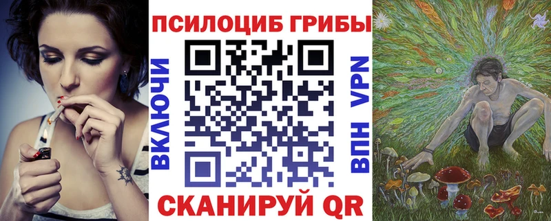 Галлюциногенные грибы мицелий  Дно 
